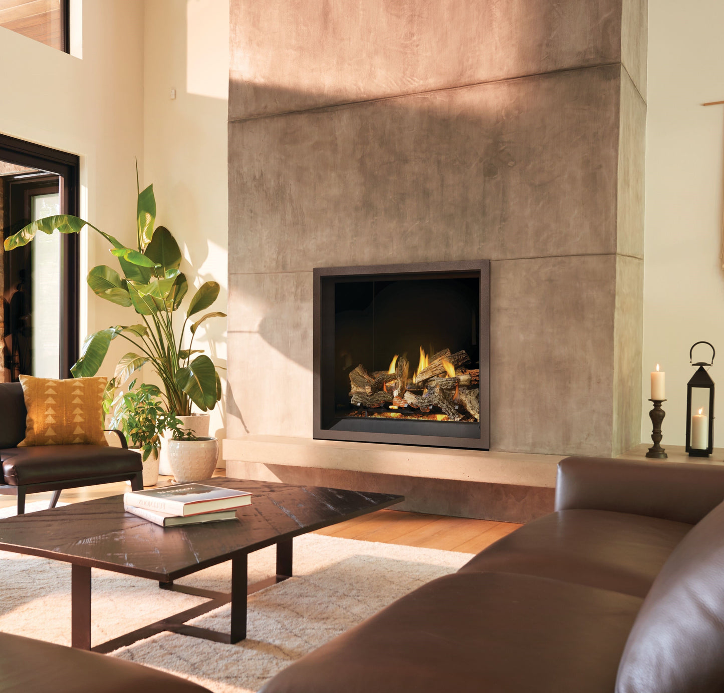 Napoleon Elevation X 42 Direct Vent Gas Fireplace-set