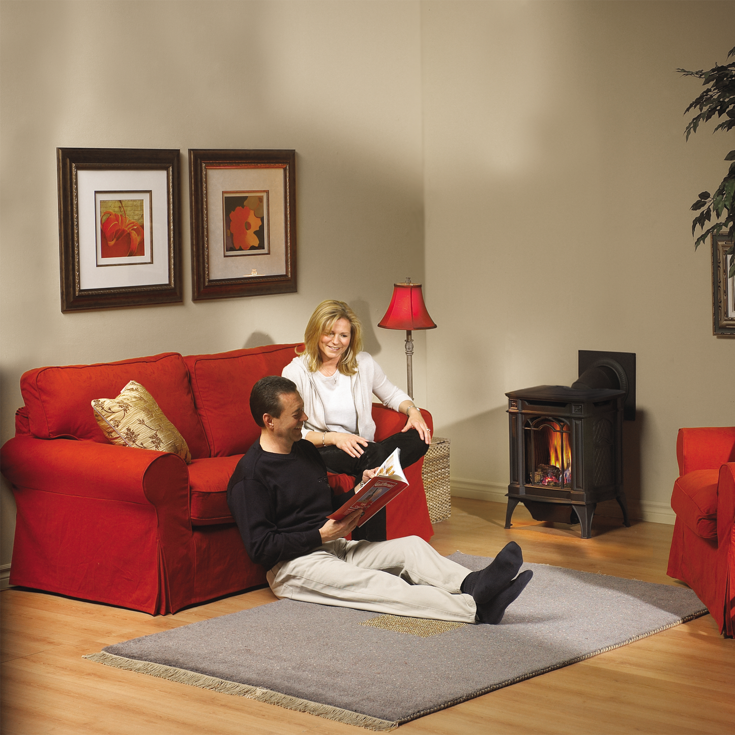 Napoleon Arlington Direct Vent Cast Iron Gas Stove - GDS20