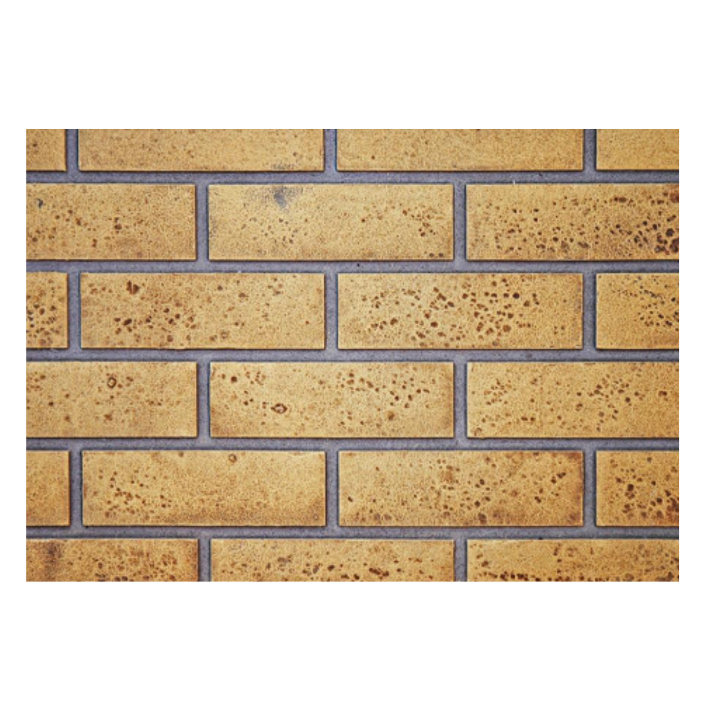 Decorative Panels