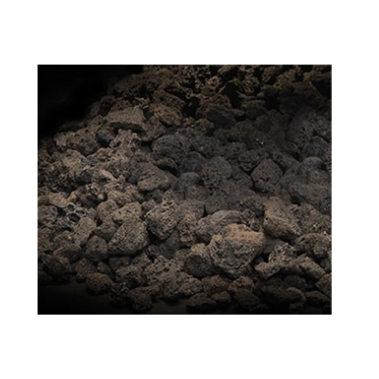 Media Kits