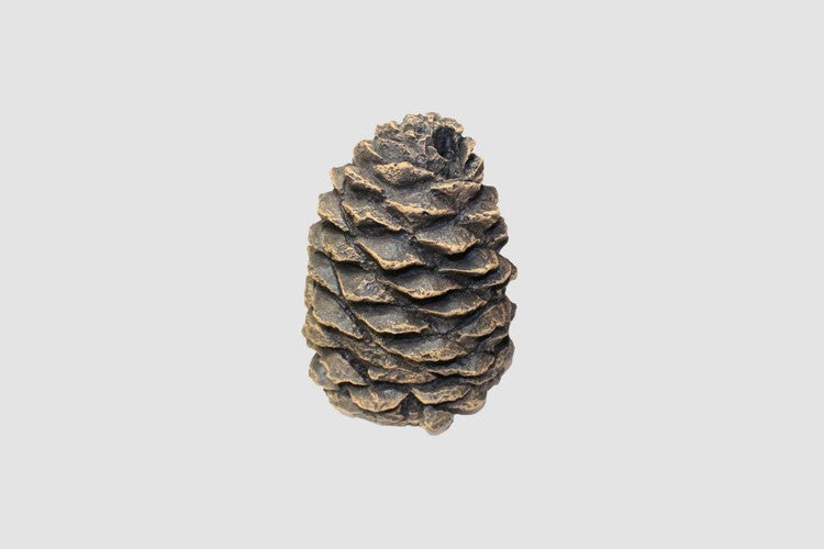 Pine Cones Large