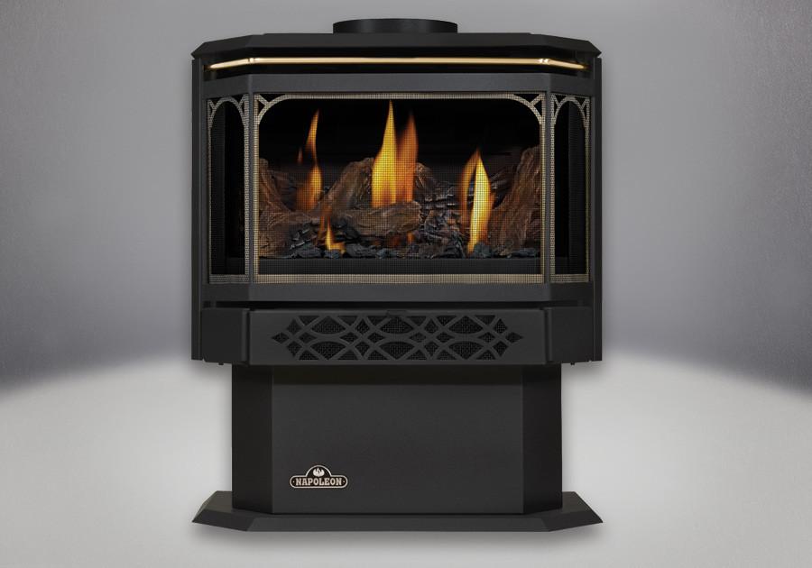 Napoleon Haliburton Gold Plated (24 Karat) Stove Door | GS328GSB