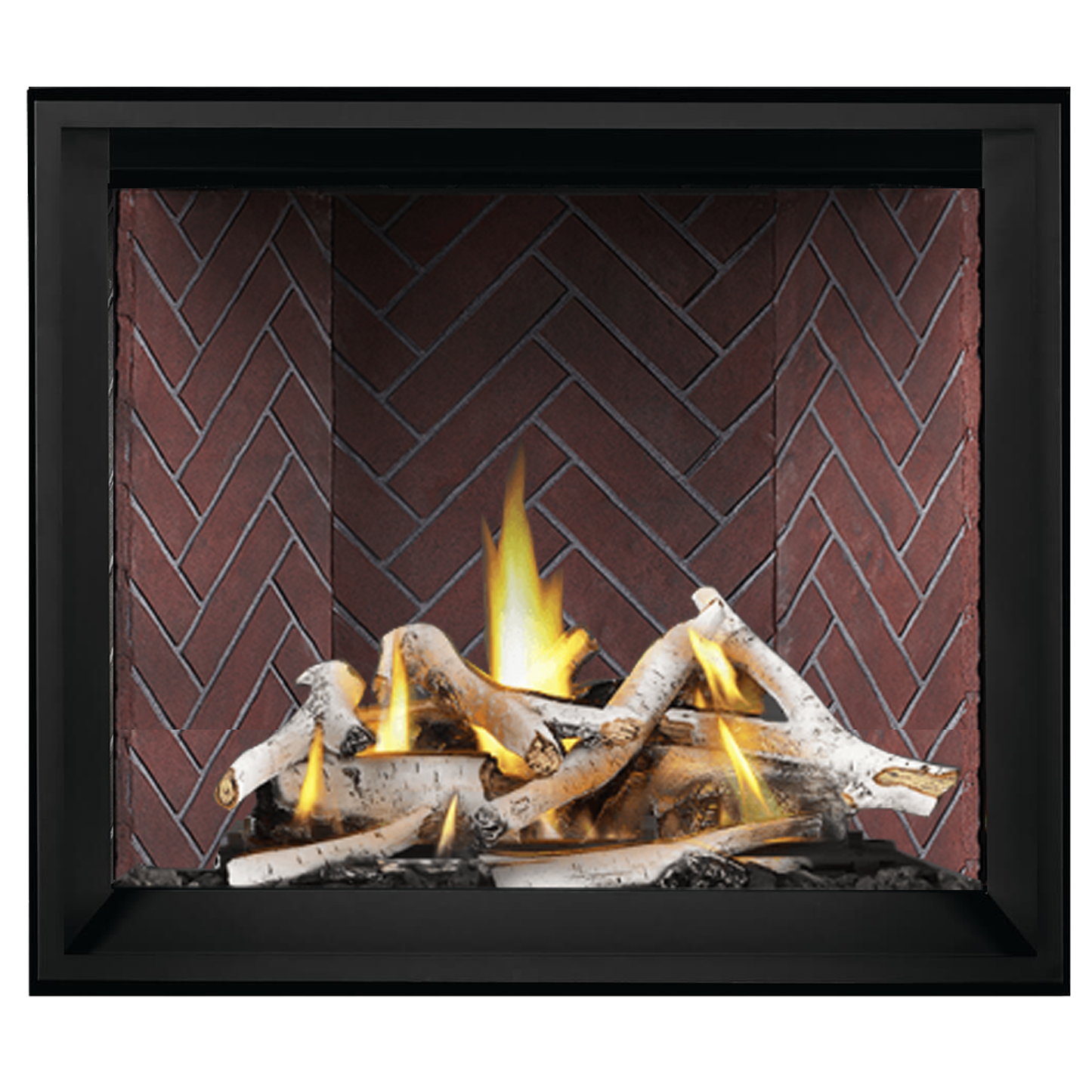 Napoleon Elevation X 42 Direct Vent Gas Fireplace | EX42NTEL