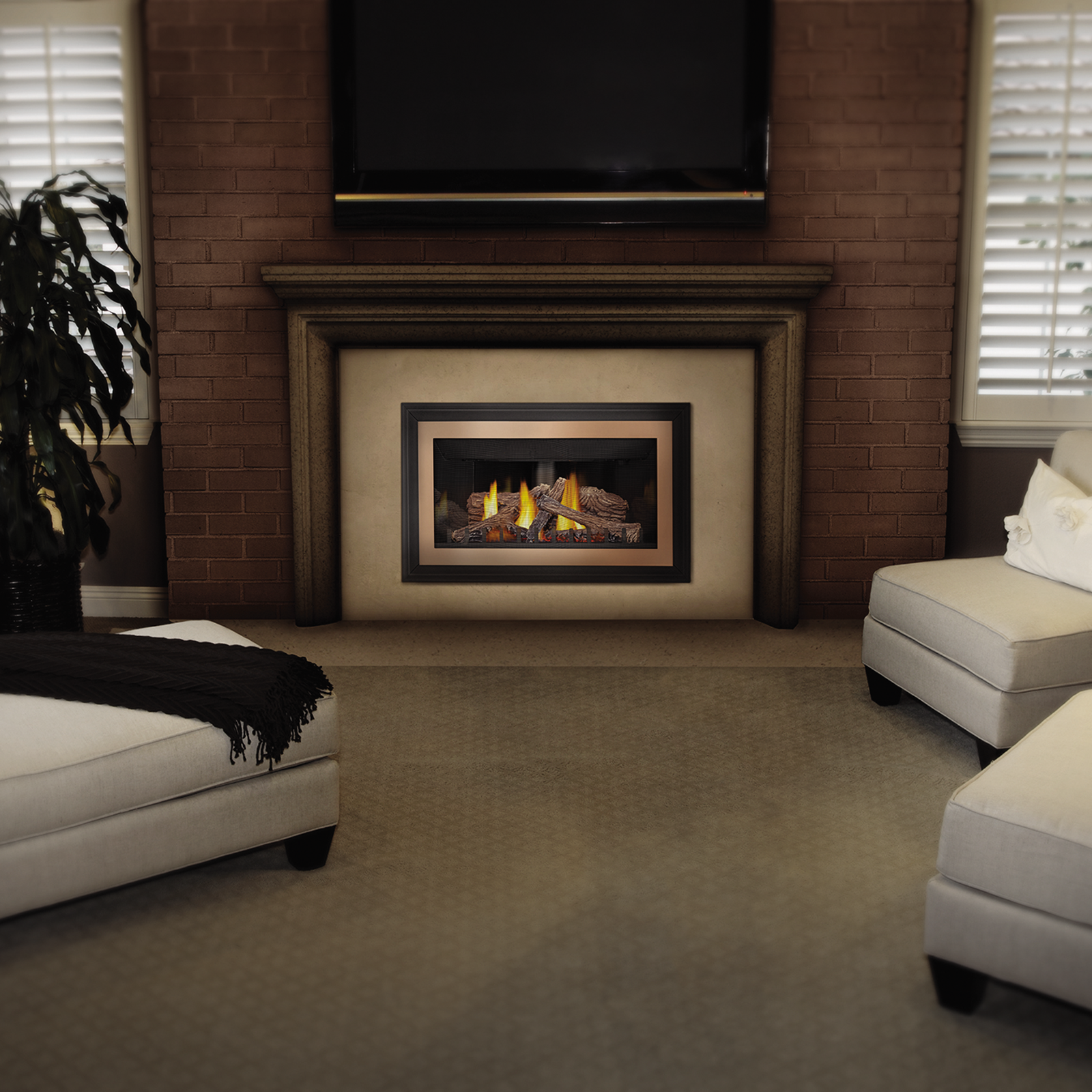 Napoleon Inspiration ZC Direct Vent Gas Fireplace Insert | GDIZC Napoleon Inspiration ZC Direct Vent Gas Fireplace Insert | GDIZC