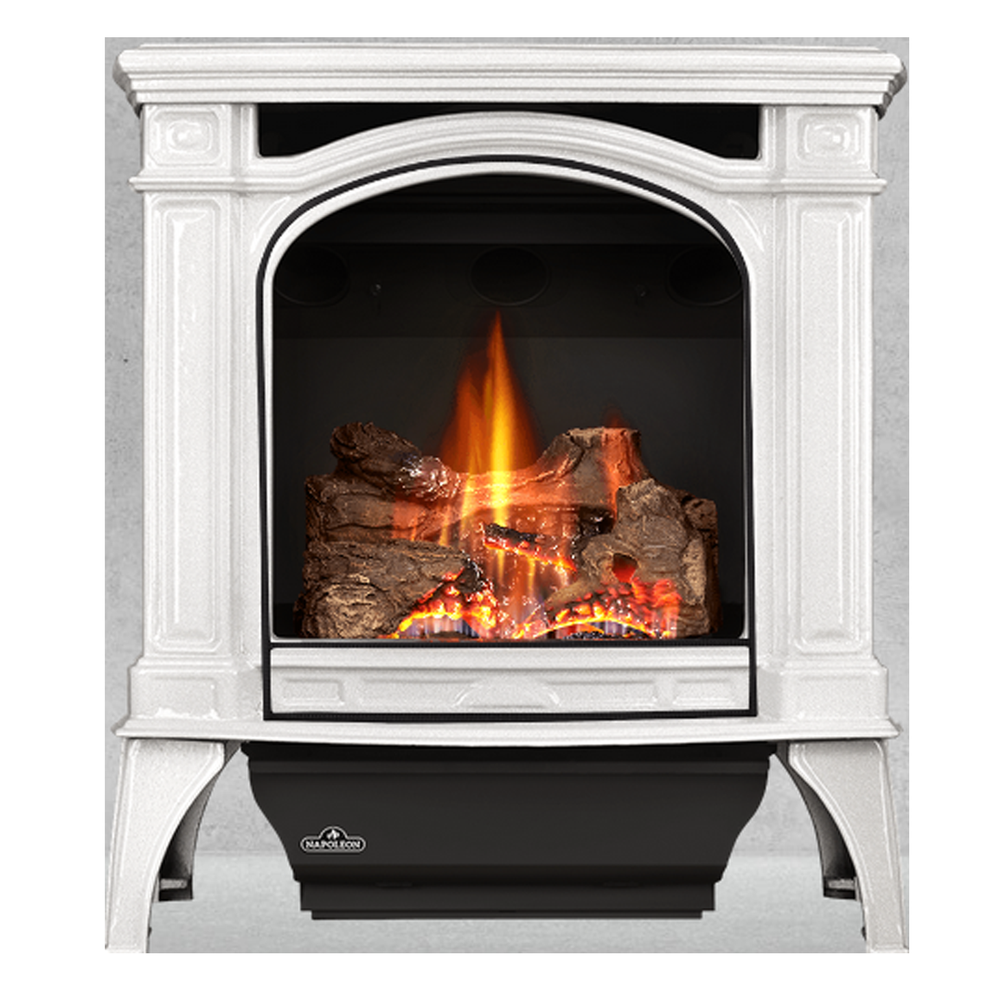 Napoleon Bayfield Electronic Ignition Direct Vent Stove | GDS25