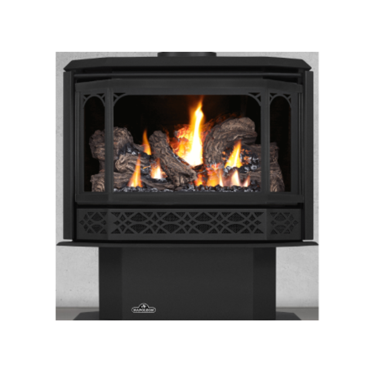 Napoleon Havelock Painted Metallic Black Stove Door - GS350K-1