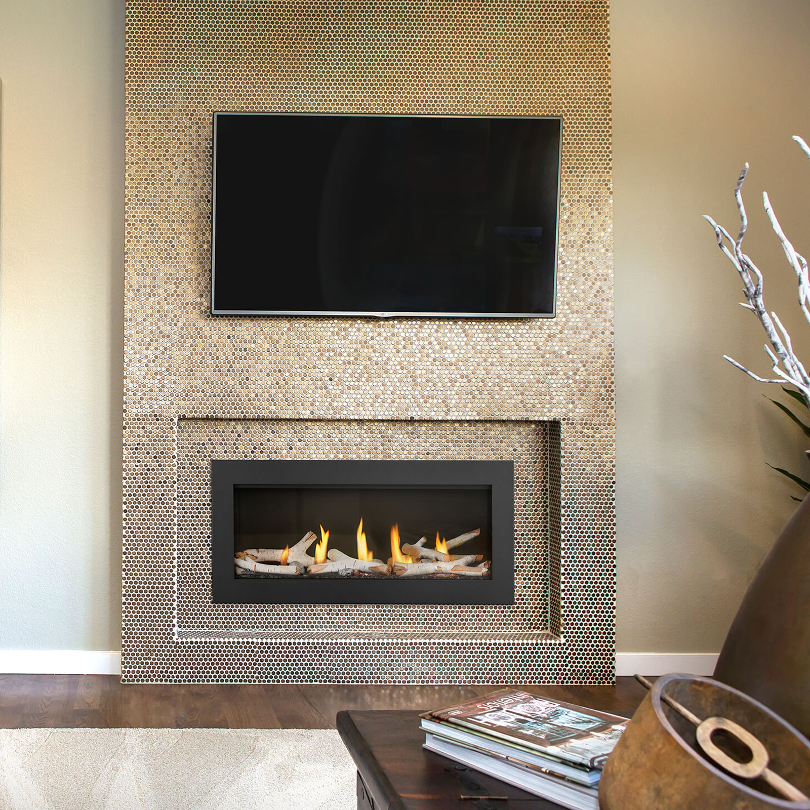 Napoleon Acies 38 Linear Direct-Vent Gas Fireplace | L38N – North Napoleon Acies 38 Linear Direct-Vent Gas Fireplace | L38N – North
