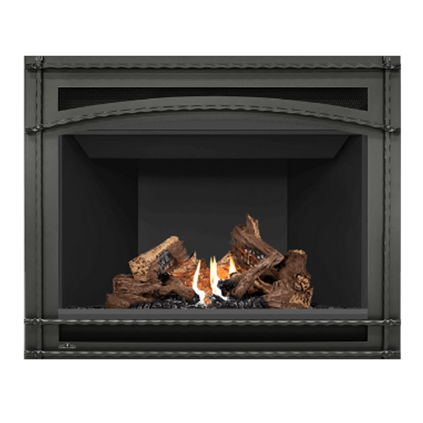 Napoleon Decorative Front - X42WI