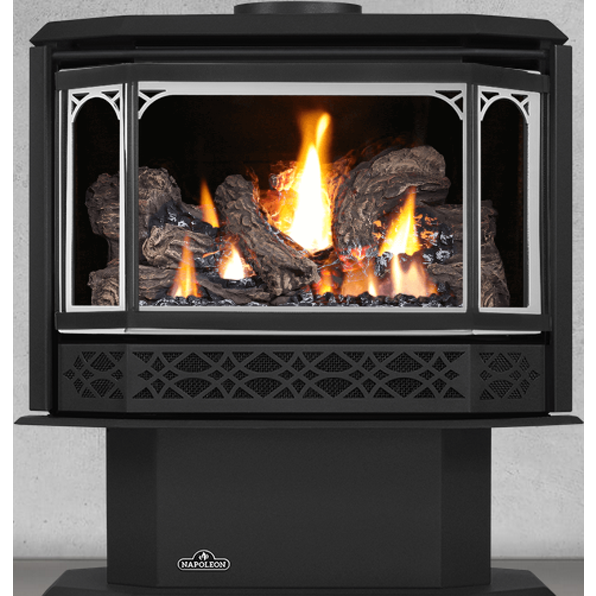 Napoleon Havelock GS350SSB Satin Chrome Stove Door | GS350SSB