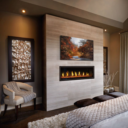 Napoleon Vector 50 LV50 Linear Direct-Vent Gas Fireplace - LV50N-2