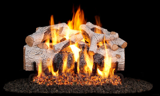 RealFyre Charred Series 24 Inch Charred Mountain Birch Gas Log Set