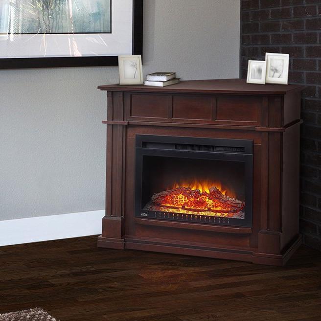 Napoleon The Bailey Electric Fireplace and Mantel | NEFCP24-0116E