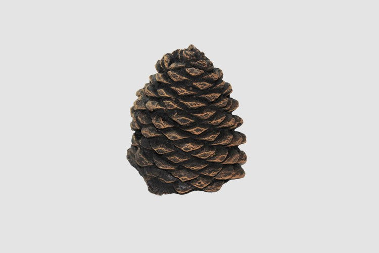Pine Cones Small