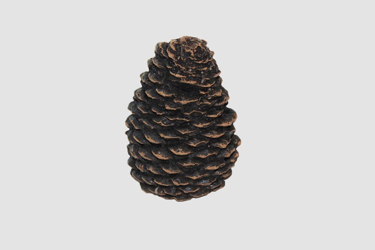 Pine Cones Small