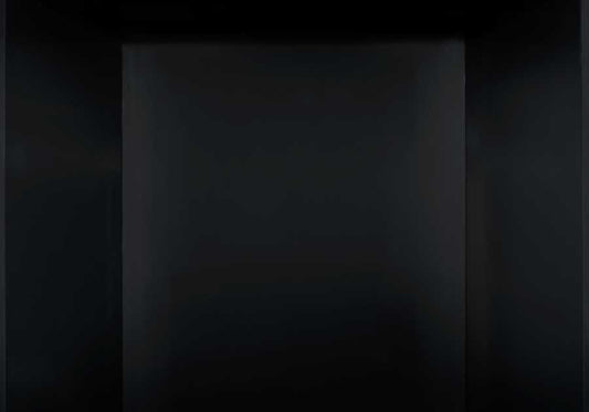 Napoleon PRP3 Porcelain Reflective Radiant Panels | PRP3