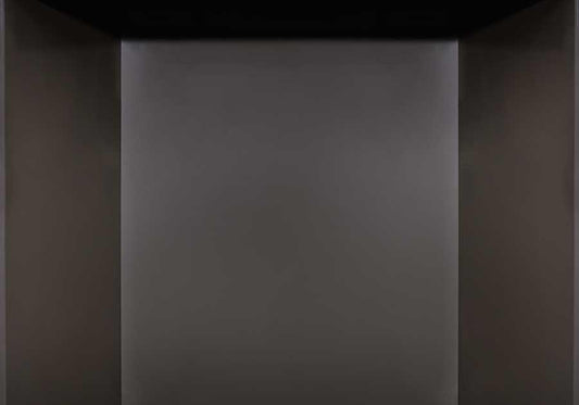 Napoleon Platinum Porcelain Reflective Radiant Panels | PRP52GY
