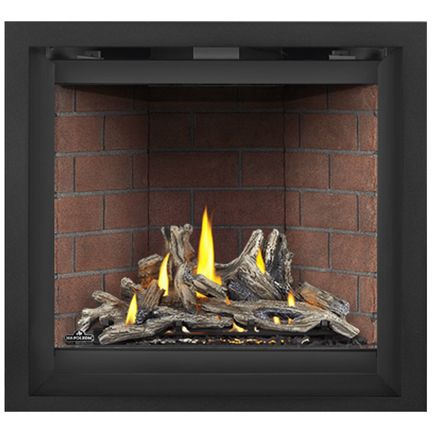 Napoleon Altitude X 36 Direct Vent Gas Fireplace | AX36