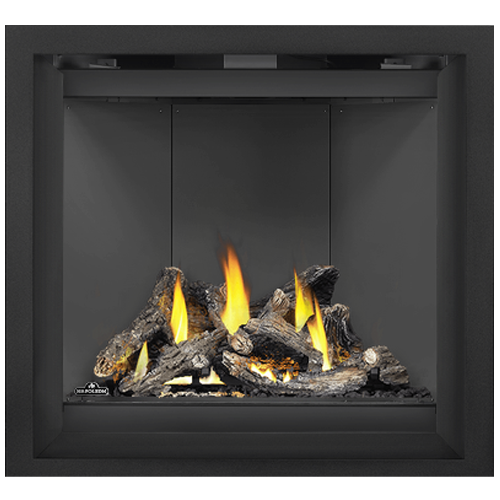 Napoleon Altitude X 36 Direct Vent Gas Fireplace | AX36