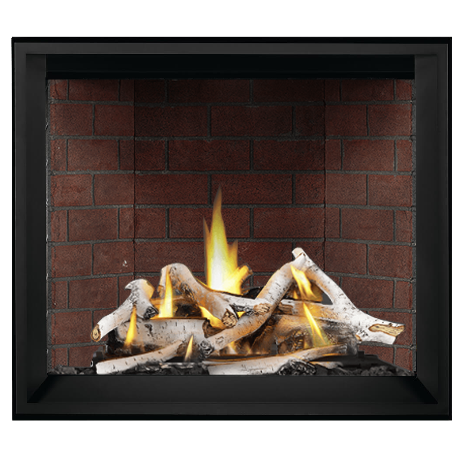 Napoleon Elevation X 42 Direct Vent Gas Fireplace | EX42NTEL Napoleon Elevation X 42 Direct Vent Gas Fireplace | EX42NTEL