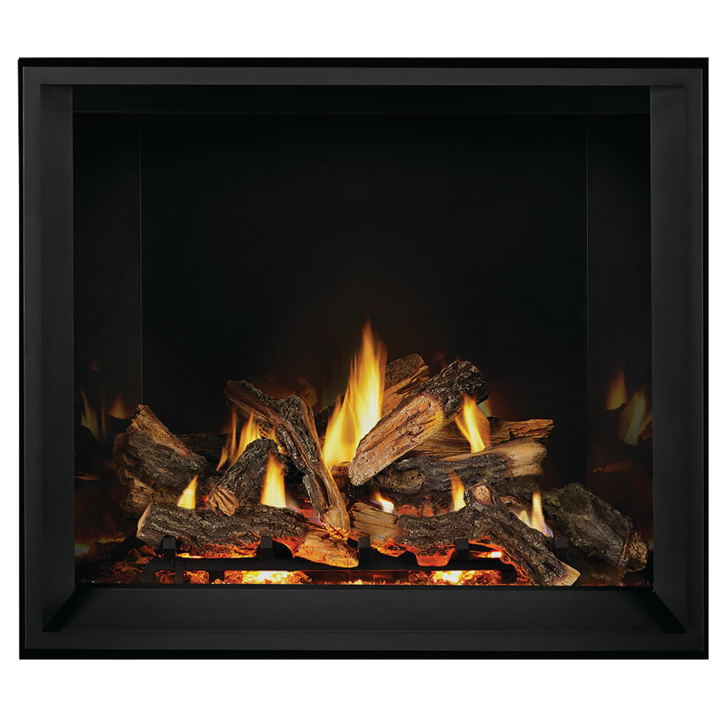 Napoleon Elevation X 42 Direct Vent Gas Fireplace | EX42NTEL