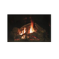 Empire Rushmore 50 Clean Face Direct Vent Gas Fireplace | DVCT50CBP |