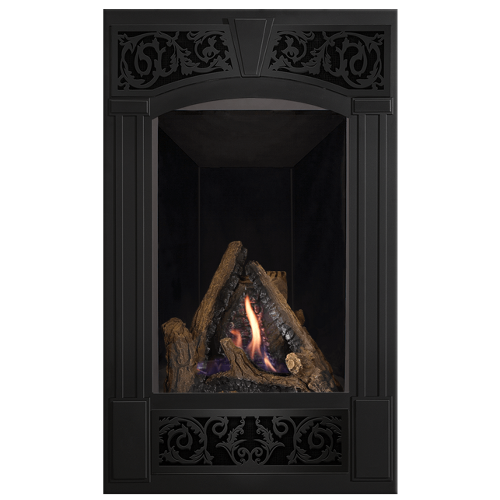 Napoleon Vittoria Direct Vent Gas Fireplace - GD19N-2