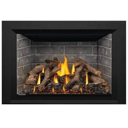 Napoleon Oakville GDIX4 Gas Insert | GDIX4N – North Country Fire Napoleon Oakville GDIX4 Gas Insert | GDIX4N – North Country Fire