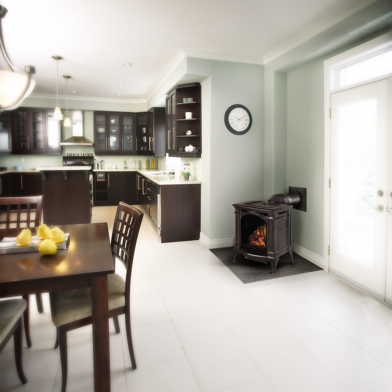 Napoleon Bayfield Electronic Ignition Direct Vent Stove | GDS25