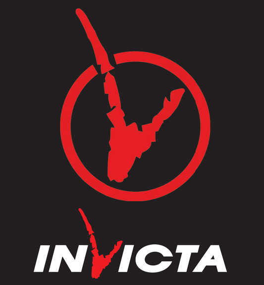 Invicta Rear Sheild for all Invicta Stoves | ED-HSB-1001 |