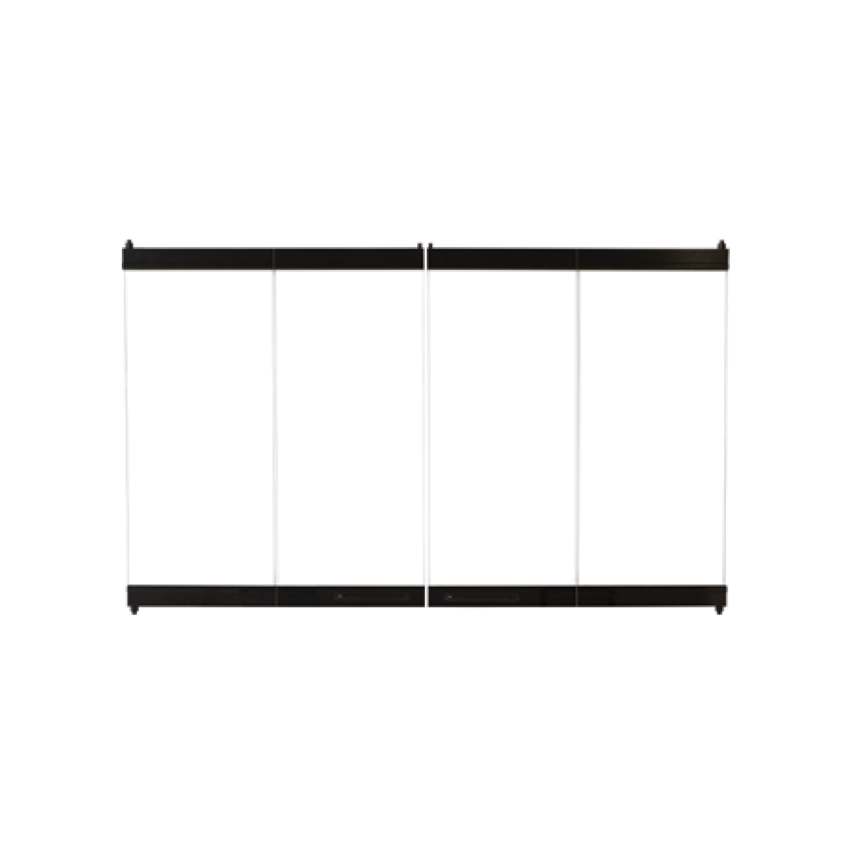 Superior Black Finish 42 Inch Outdoor Bi-Fold Glass Door | BDO42