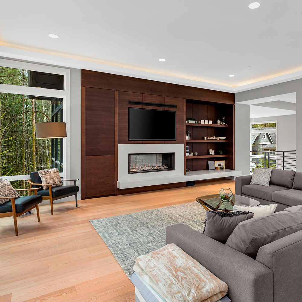 Montigo Distinction 48 See-Thru Direct-Vent Gas Fireplace - D4815STNI ...