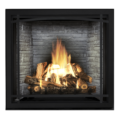Napoleon Starfire 35 TV Propane Gas Fireplace | HDX35NT/W175-0407